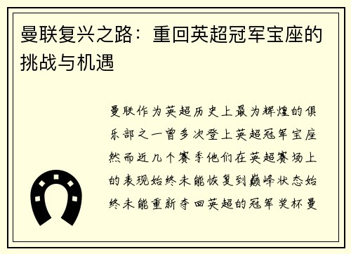 曼联复兴之路：重回英超冠军宝座的挑战与机遇